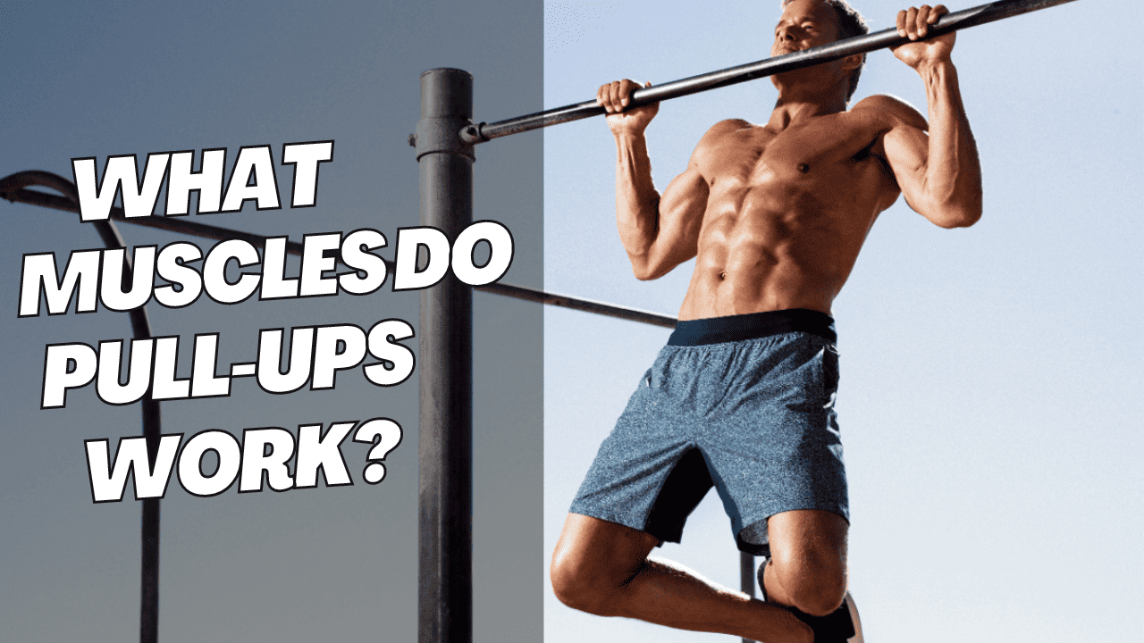 Which Muscles Do Pull-Ups Work